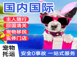 忻州五台山机场货运国际宠物托运 【国